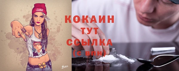 винт Осташков