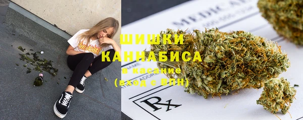 винт Осташков