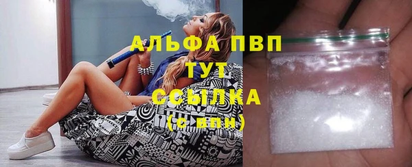 гашик Ивангород